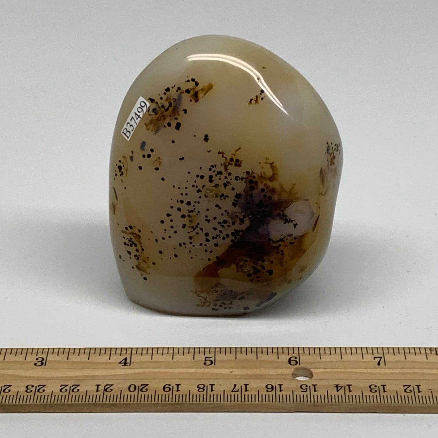 0.93 lbs, 3.6"x2.8"x1.7" Dendrite Agate Freeform Reiki Energy Crystal, B37499