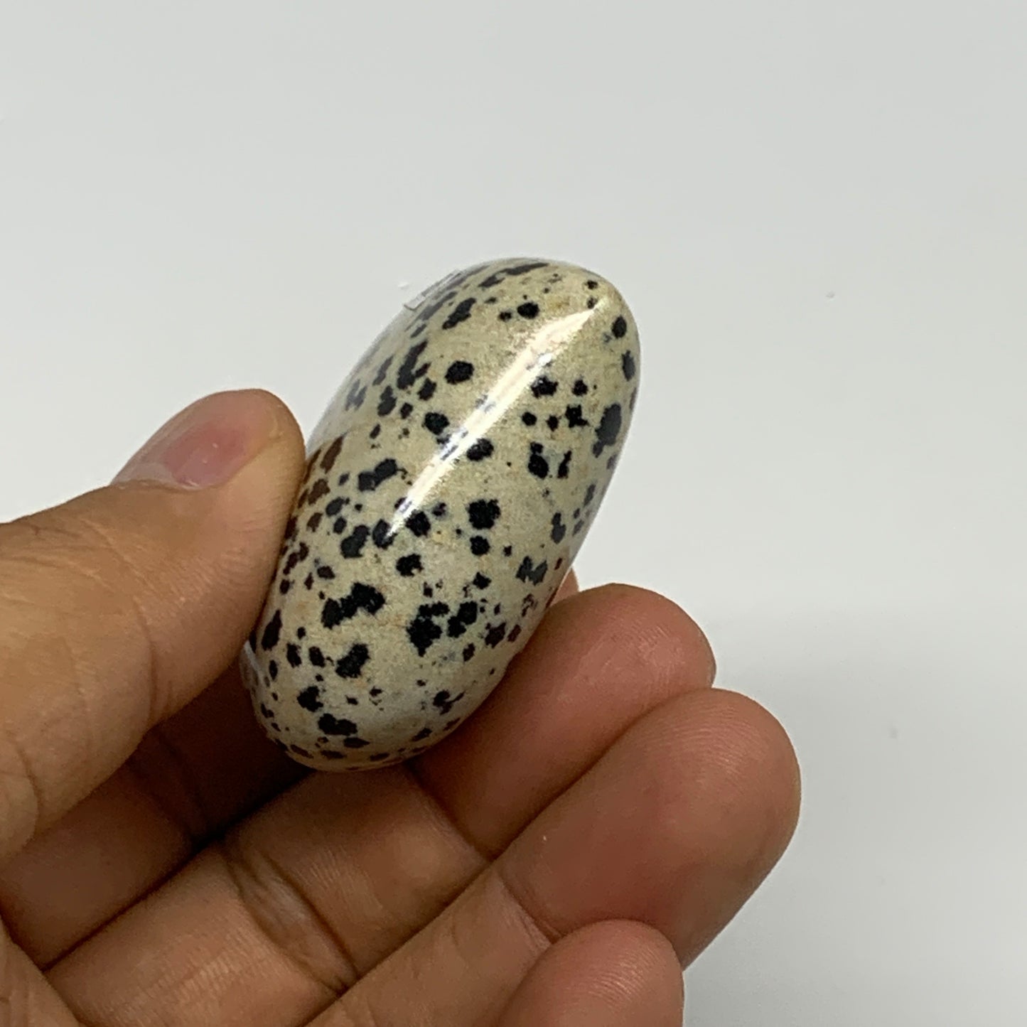 62.7g, 1.8"x1.9"x0.8" Dalmatian Jasper Heart Polished Healing Home Decor, B29554
