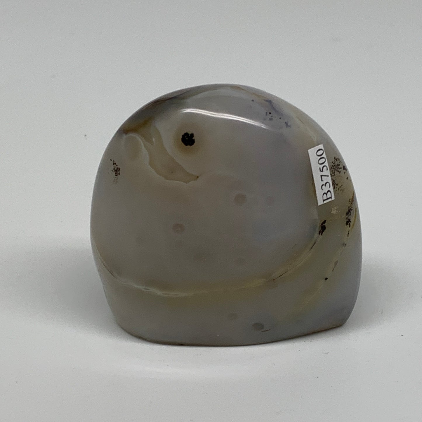 0.48 lbs, 2.5"x2.6"x1.2" Dendrite Agate Freeform Reiki Energy Crystal, B37500