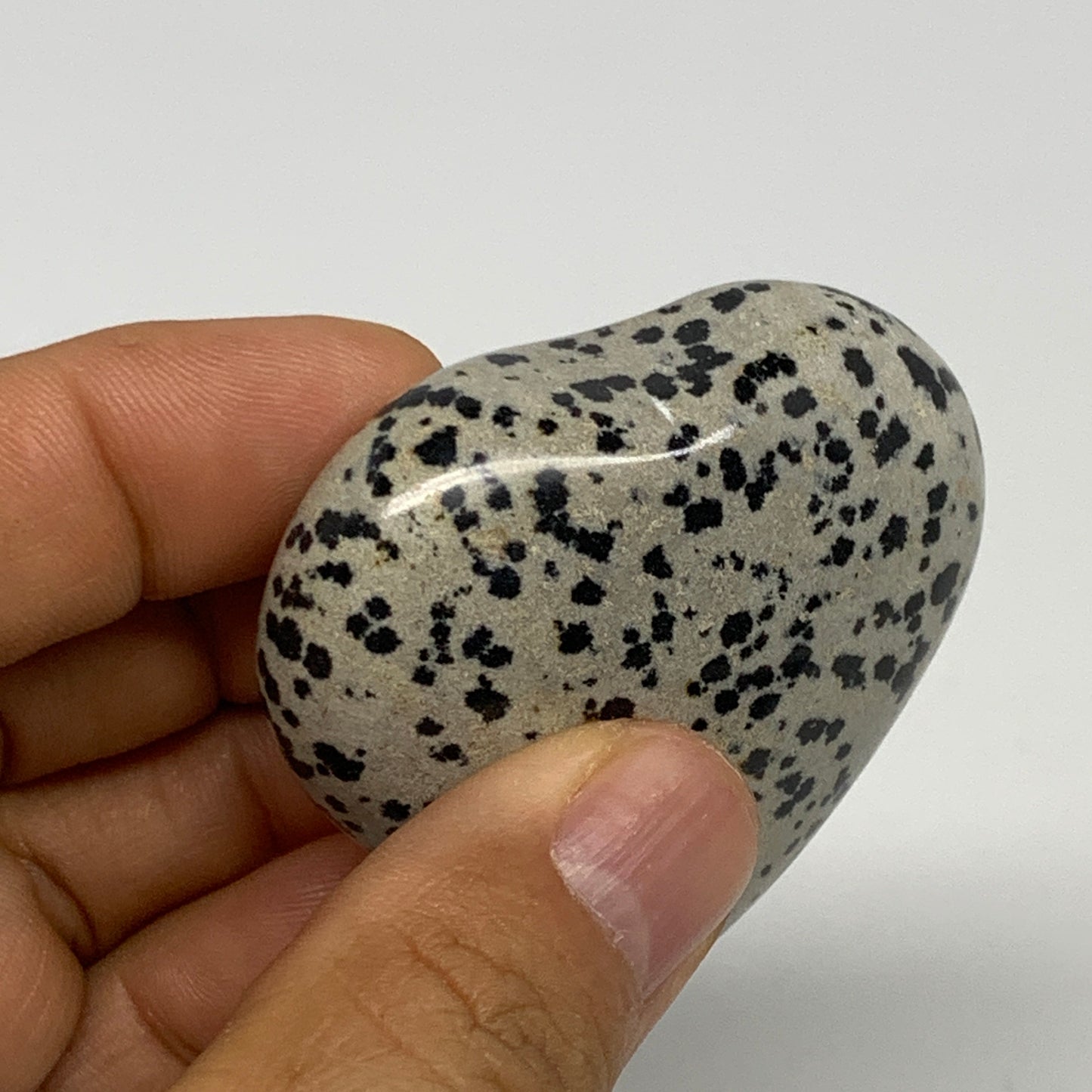 75.5g, 1.9"x2"x0.9" Dalmatian Jasper Heart Polished Healing Home Decor, B29553