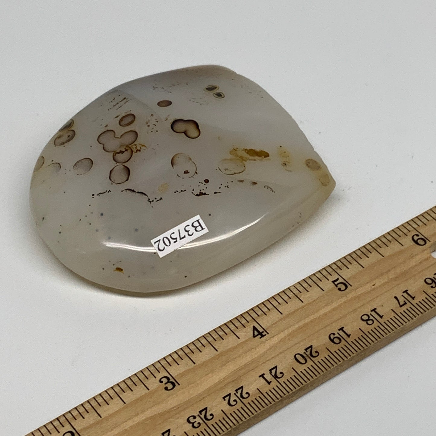 0.4 lbs, 2.8"x2.5"x1" Dendrite Agate Freeform Reiki Energy Crystal, B37502