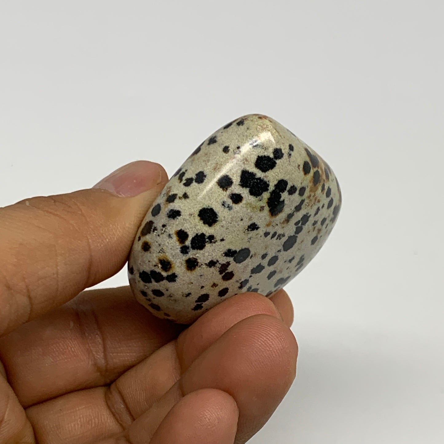 63.5g, 1.7"x1.9"x0.9" Dalmatian Jasper Heart Polished Healing Home Decor, B29549