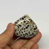 63.5g, 1.7"x1.9"x0.9" Dalmatian Jasper Heart Polished Healing Home Decor, B29549
