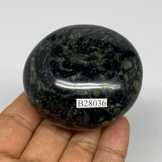 163.7g, 2.4"x2.2"x1.3", Crocodile Kambaba Jasper Palm-Stone @Madagascar, B28036