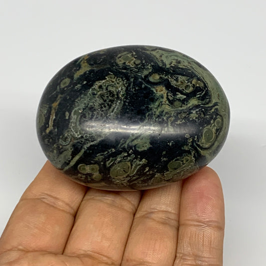 148.9g, 2.5"x2"x1.3", Crocodile Kambaba Jasper Palm-Stone @Madagascar, B28037