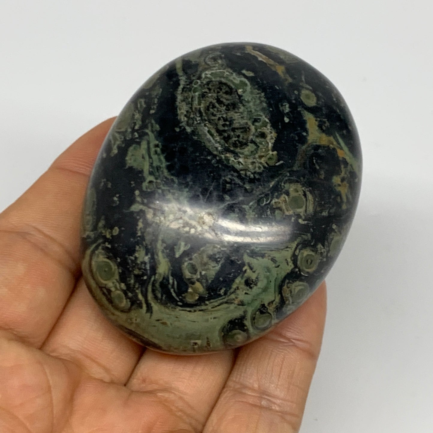 148.9g, 2.5"x2"x1.3", Crocodile Kambaba Jasper Palm-Stone @Madagascar, B28037