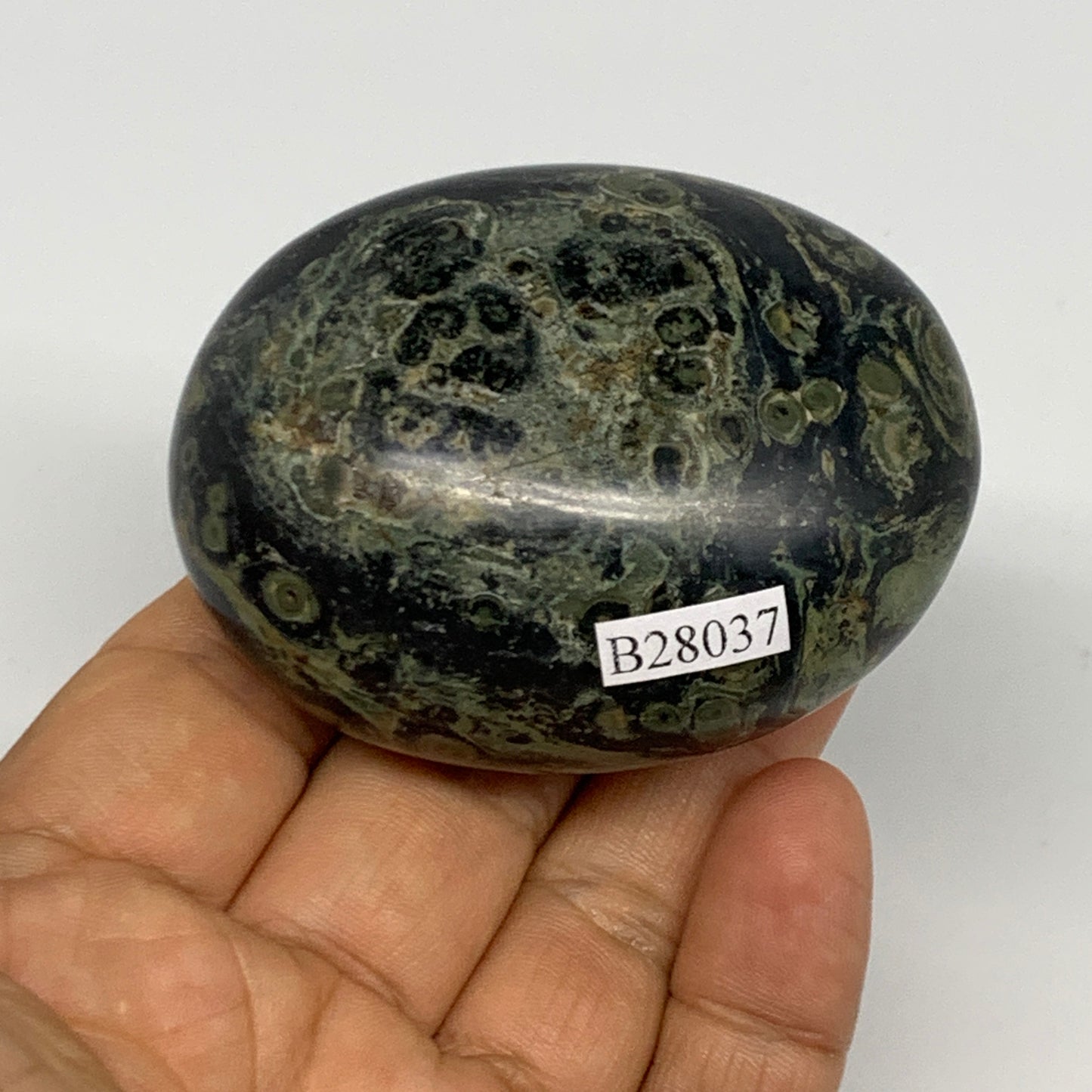 148.9g, 2.5"x2"x1.3", Crocodile Kambaba Jasper Palm-Stone @Madagascar, B28037