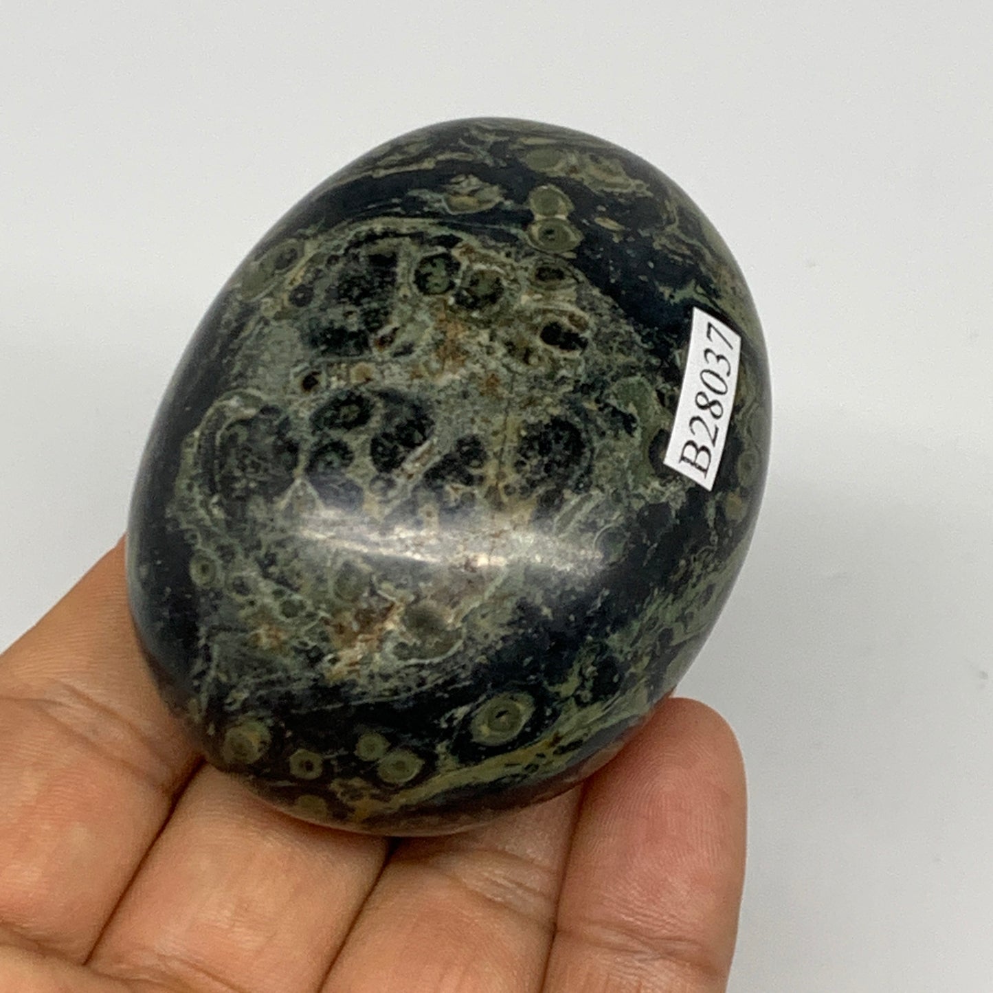 148.9g, 2.5"x2"x1.3", Crocodile Kambaba Jasper Palm-Stone @Madagascar, B28037