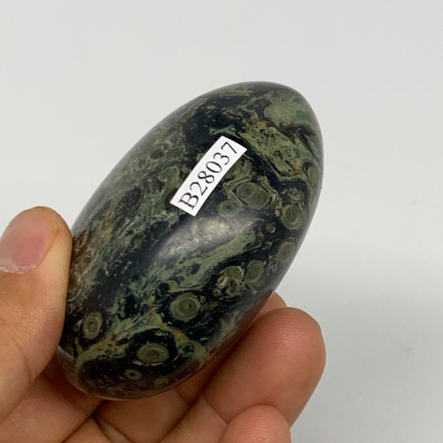 148.9g, 2.5"x2"x1.3", Crocodile Kambaba Jasper Palm-Stone @Madagascar, B28037