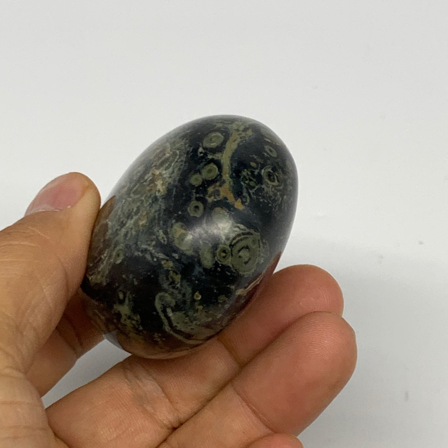 148.9g, 2.5"x2"x1.3", Crocodile Kambaba Jasper Palm-Stone @Madagascar, B28037
