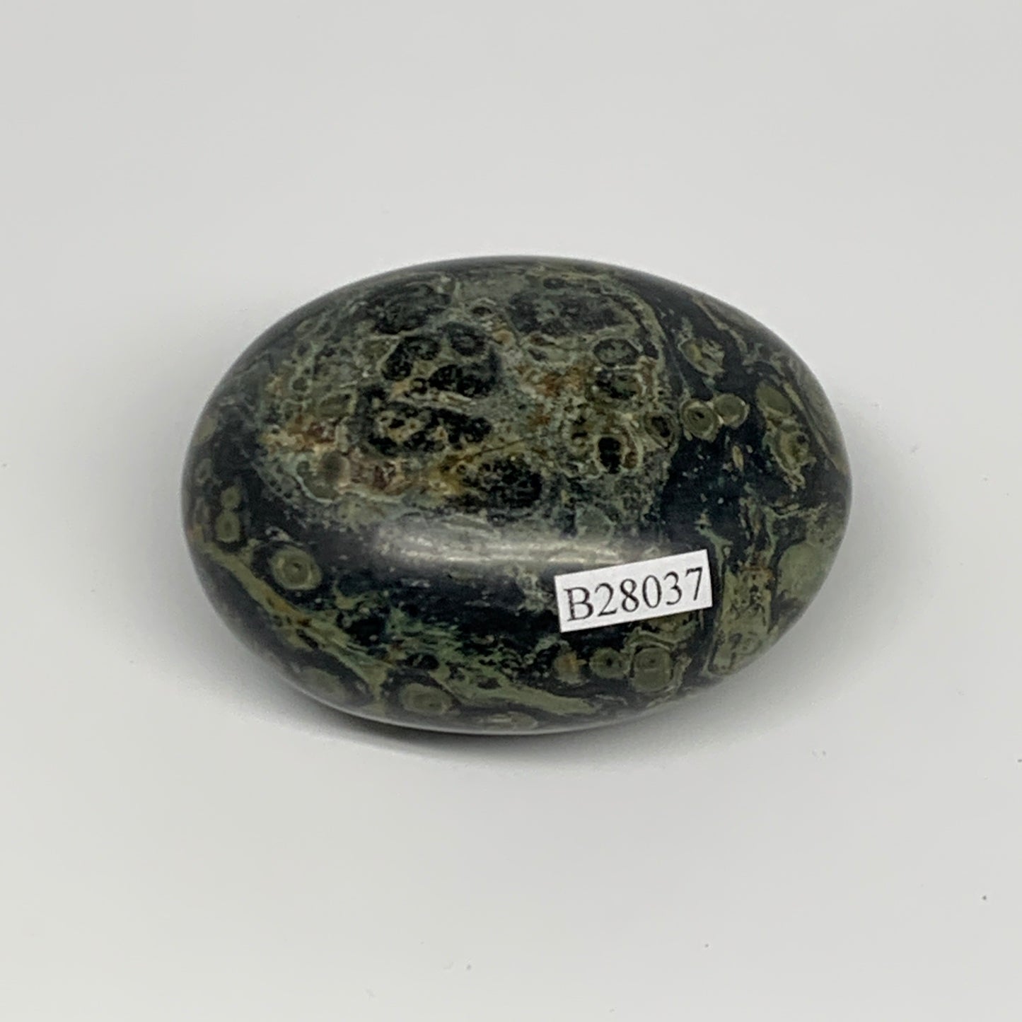 148.9g, 2.5"x2"x1.3", Crocodile Kambaba Jasper Palm-Stone @Madagascar, B28037