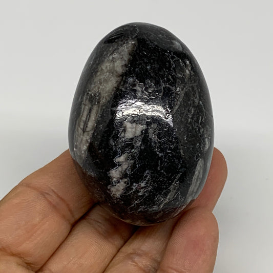 130.6g, 2.2"x1.6", Natural Fossil Orthoceras Stone Egg from Morocco, B31044