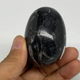 130.6g, 2.2"x1.6", Natural Fossil Orthoceras Stone Egg from Morocco, B31044