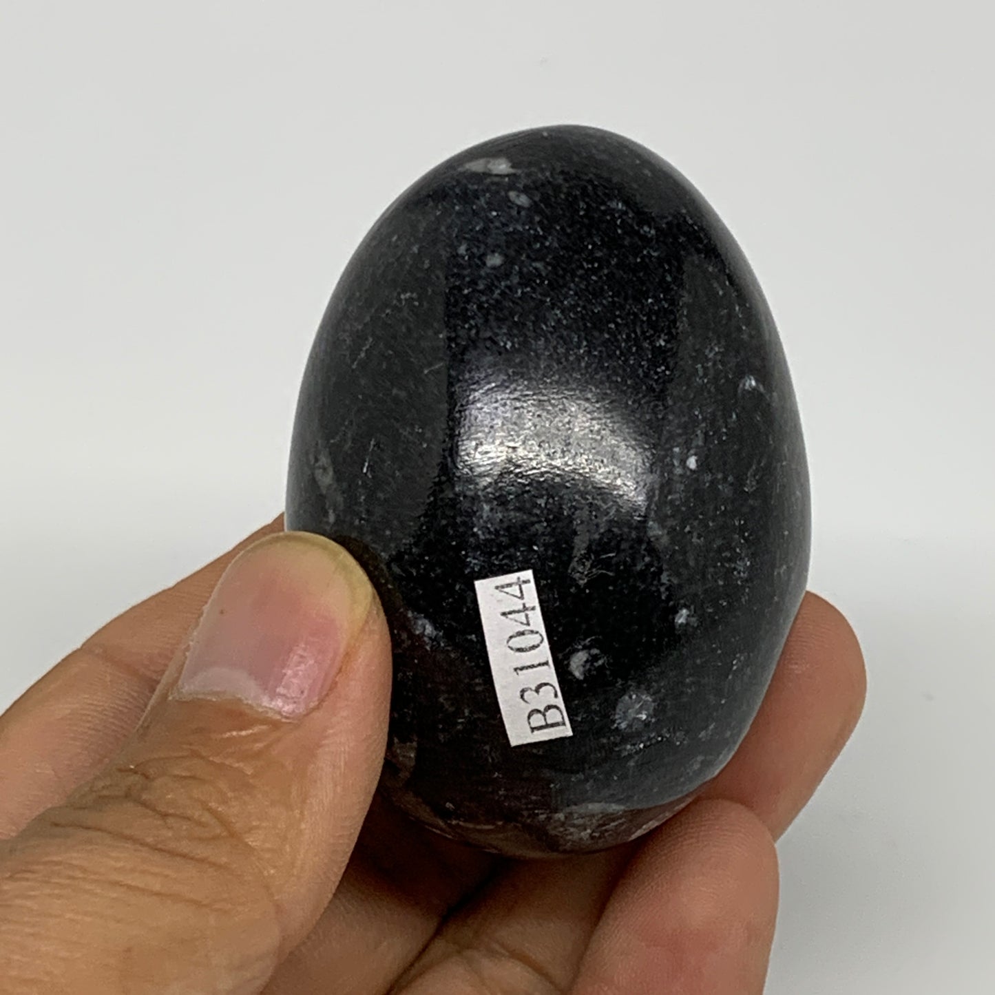 130.6g, 2.2"x1.6", Natural Fossil Orthoceras Stone Egg from Morocco, B31044