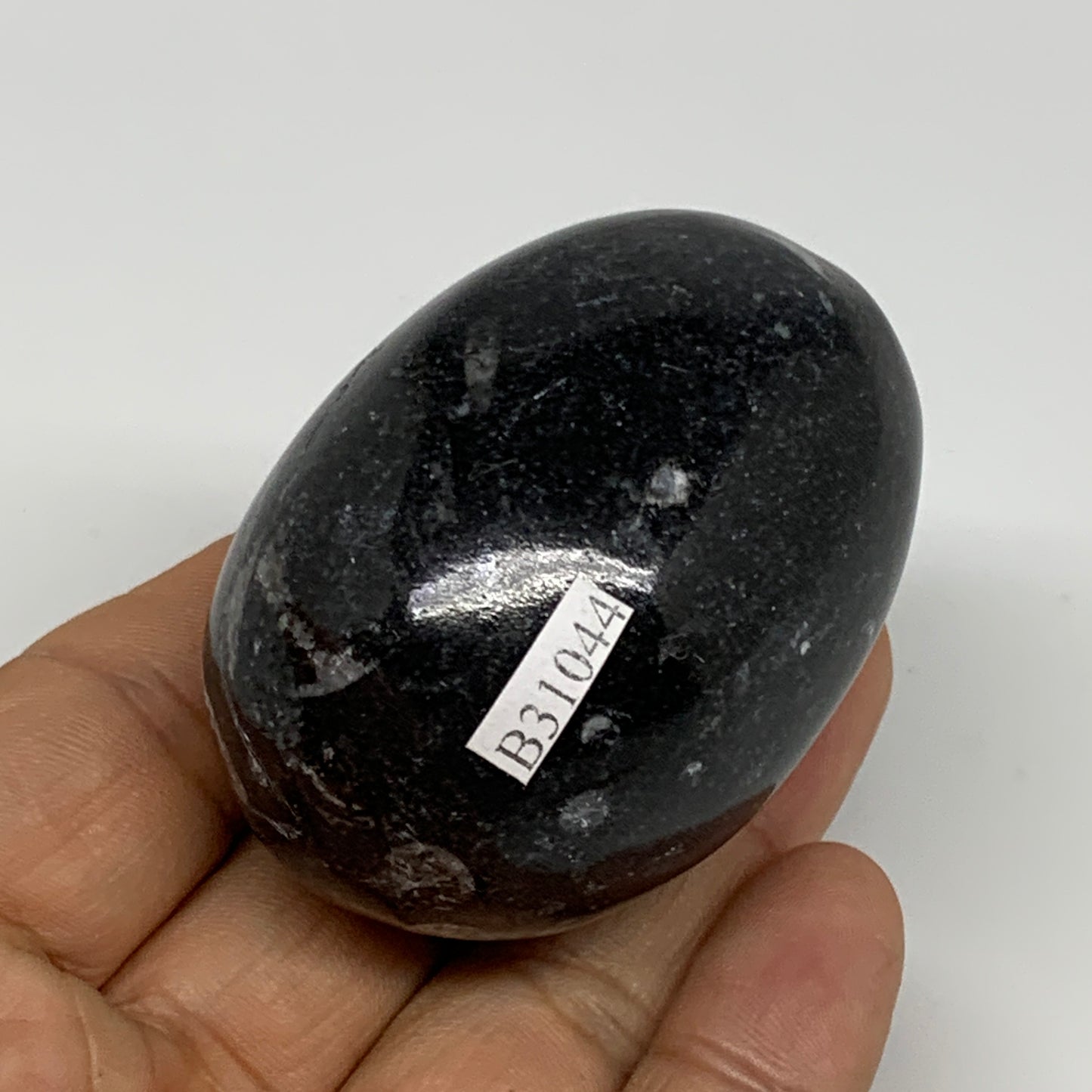 130.6g, 2.2"x1.6", Natural Fossil Orthoceras Stone Egg from Morocco, B31044