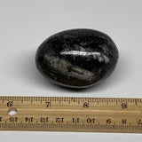 130.6g, 2.2"x1.6", Natural Fossil Orthoceras Stone Egg from Morocco, B31044