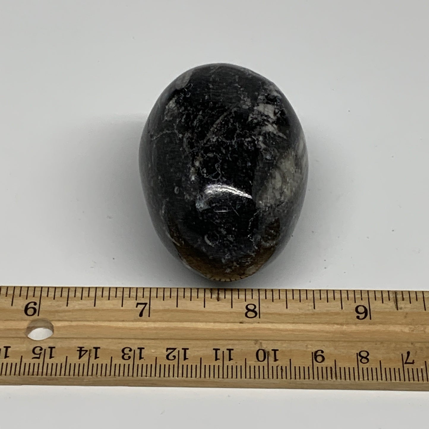 130.6g, 2.2"x1.6", Natural Fossil Orthoceras Stone Egg from Morocco, B31044