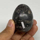 147.5g, 2.2"x1.6", Natural Fossil Orthoceras Stone Egg from Morocco, B31046