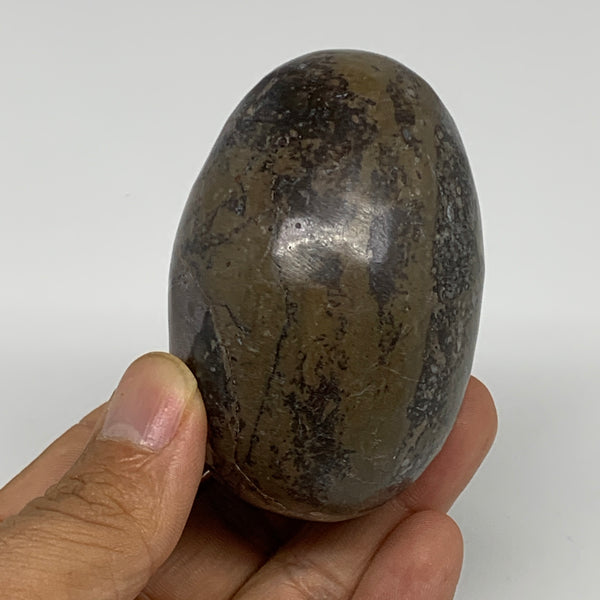 230.3g, 2.8"x1.8", Natural Fossil Orthoceras Stone Egg from Morocco, B31047