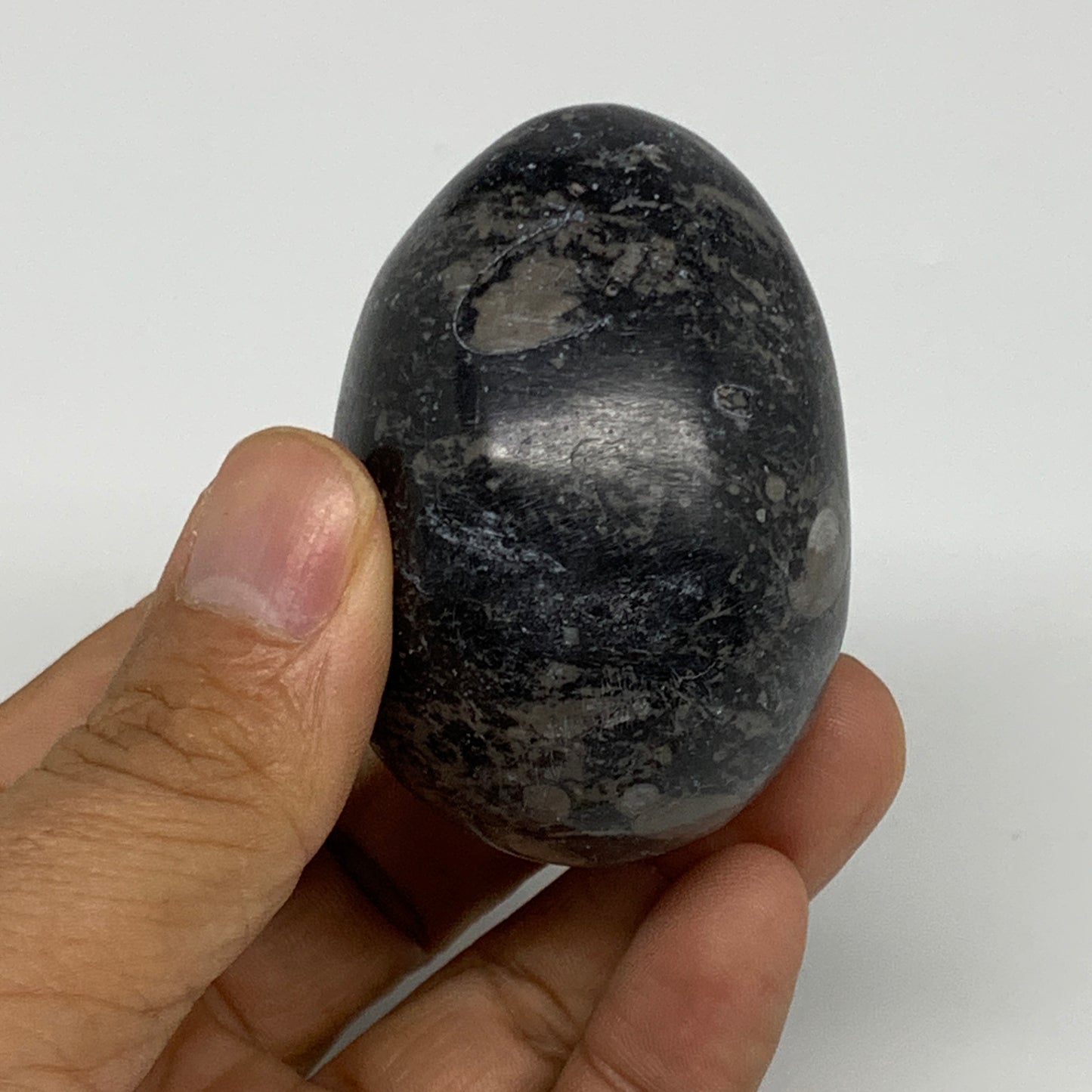 141.3g, 2.3"x1.6", Natural Fossil Orthoceras Stone Egg from Morocco, B31048
