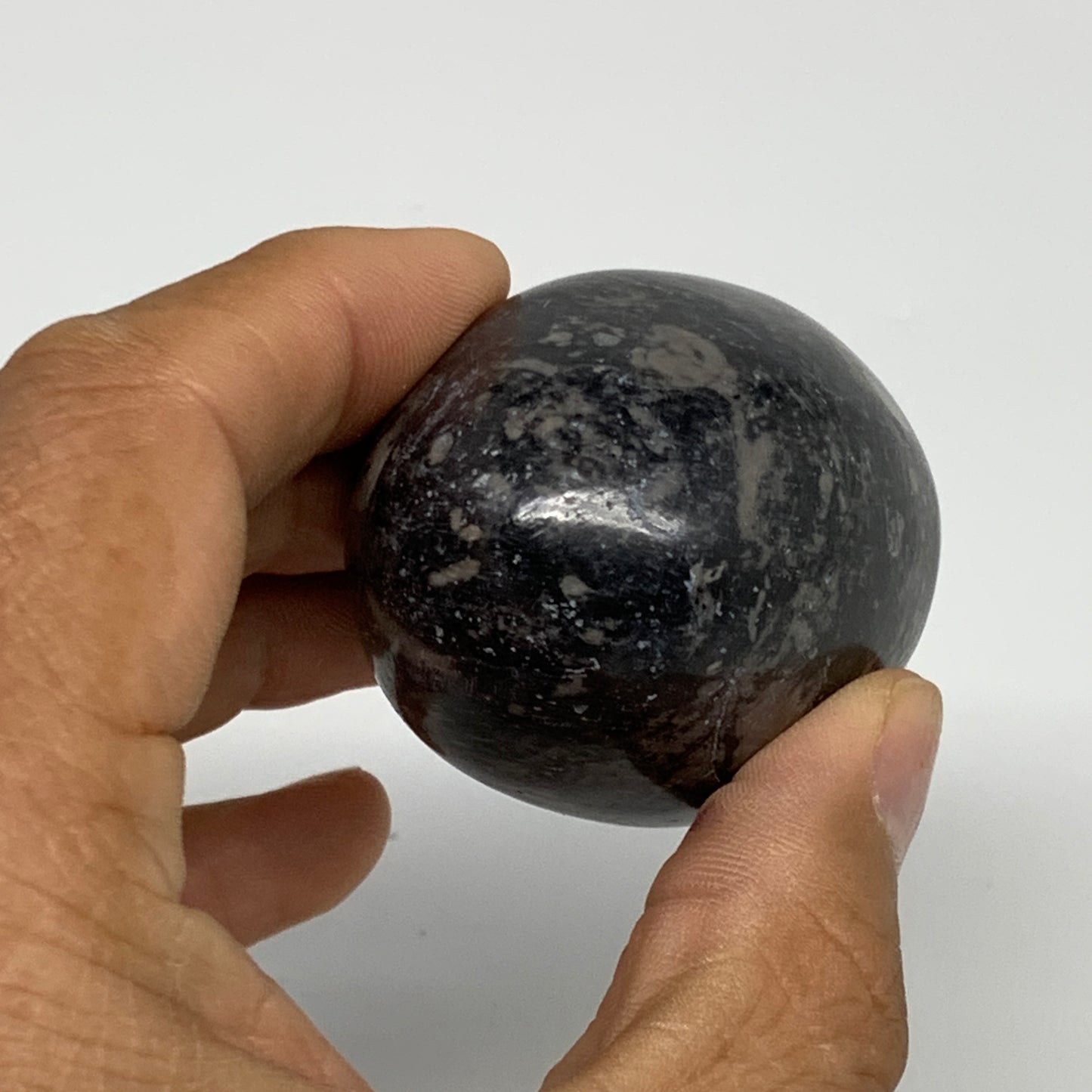 141.3g, 2.3"x1.6", Natural Fossil Orthoceras Stone Egg from Morocco, B31048