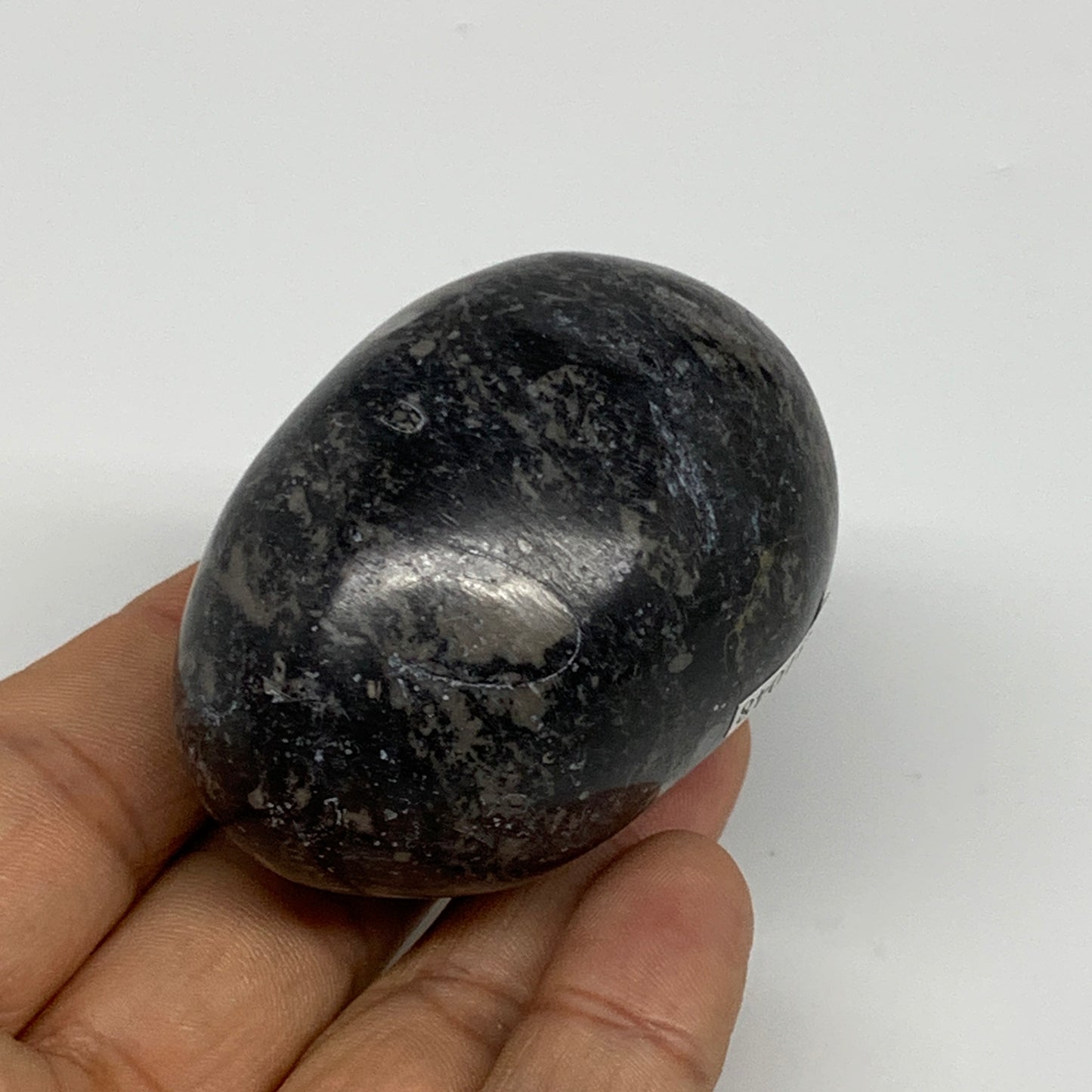 141.3g, 2.3"x1.6", Natural Fossil Orthoceras Stone Egg from Morocco, B31048