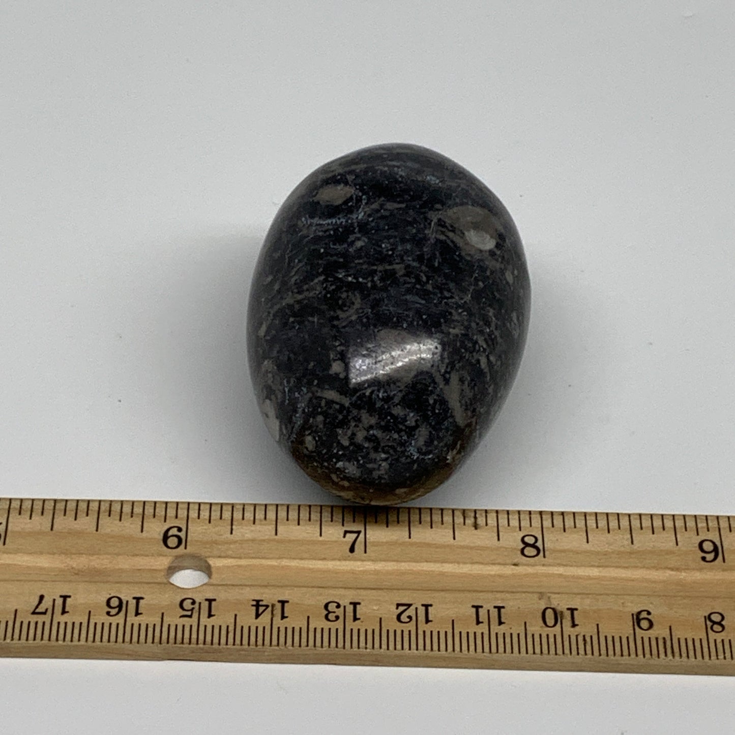 141.3g, 2.3"x1.6", Natural Fossil Orthoceras Stone Egg from Morocco, B31048