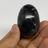 99.6g, 2"x1.4", Natural Fossil Orthoceras Stone Egg from Morocco, B31049