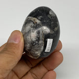 118.5g, 2.1"x1.5", Natural Fossil Orthoceras Stone Egg from Morocco, B31051