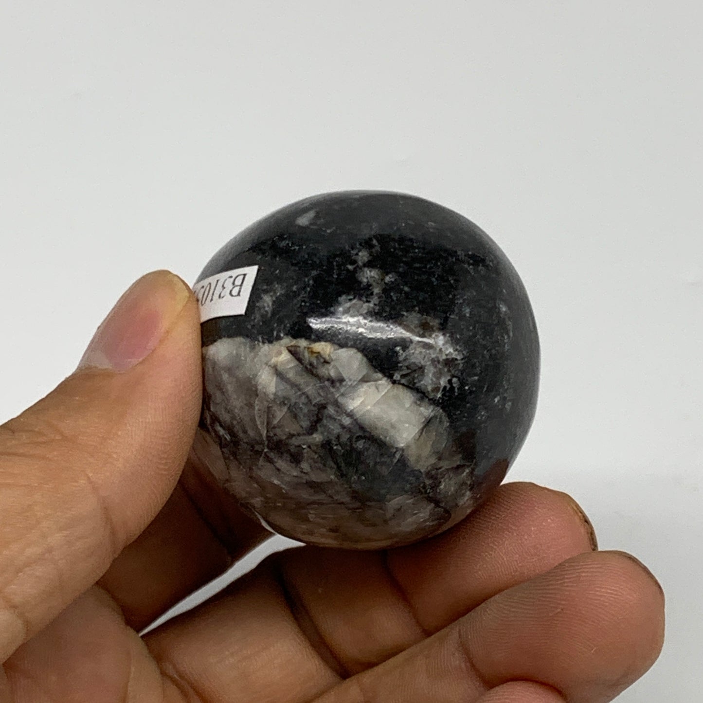 118.5g, 2.1"x1.5", Natural Fossil Orthoceras Stone Egg from Morocco, B31051