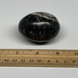 118.5g, 2.1"x1.5", Natural Fossil Orthoceras Stone Egg from Morocco, B31051