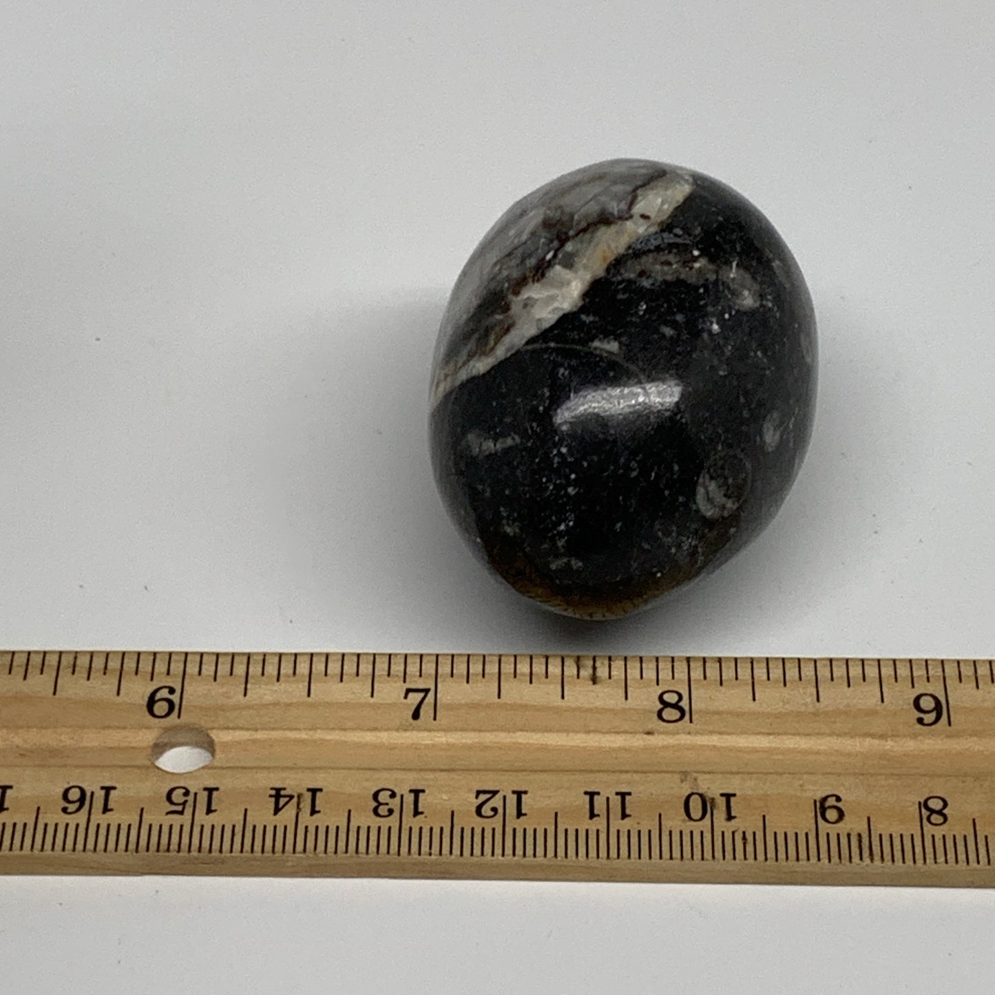 118.5g, 2.1"x1.5", Natural Fossil Orthoceras Stone Egg from Morocco, B31051