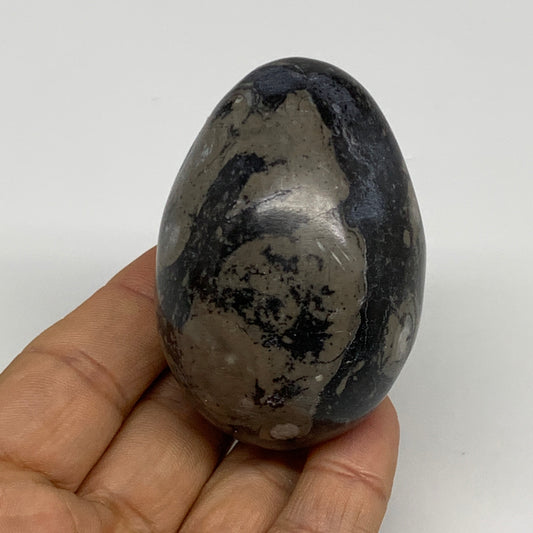 167.1g, 2.4"x1.7", Natural Fossil Orthoceras Stone Egg from Morocco, B31053
