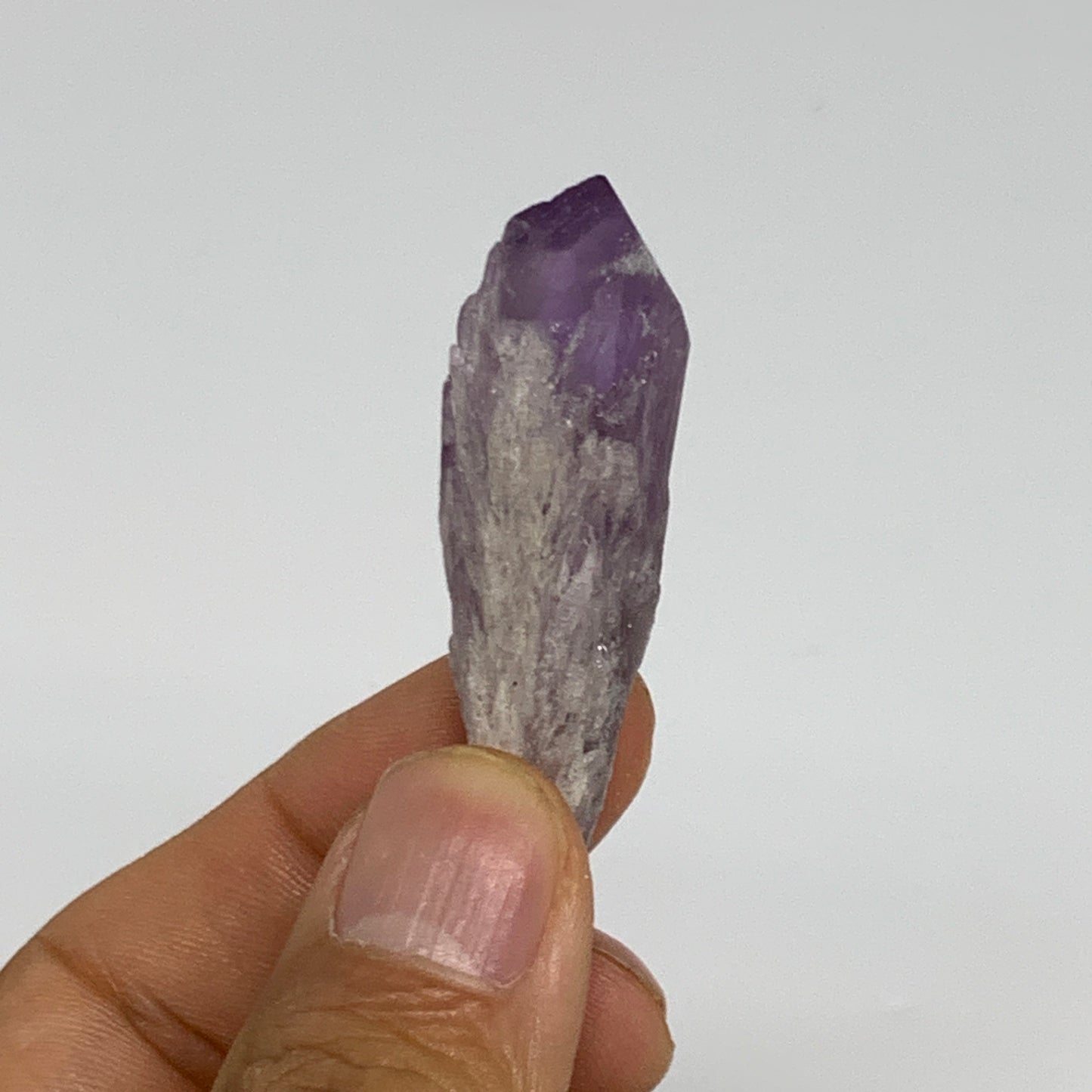 118.4g, 1.7" - 2", 8pcs, Amethyst Point Polished Rough lower part @Brazil, B2884