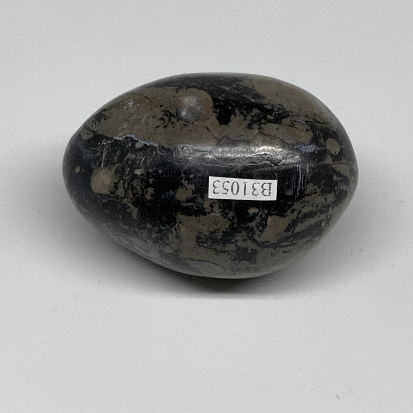 167.1g, 2.4"x1.7", Natural Fossil Orthoceras Stone Egg from Morocco, B31053