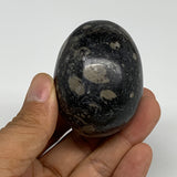 145.8g, 2.1"x1.7", Natural Fossil Orthoceras Stone Egg from Morocco, B31055