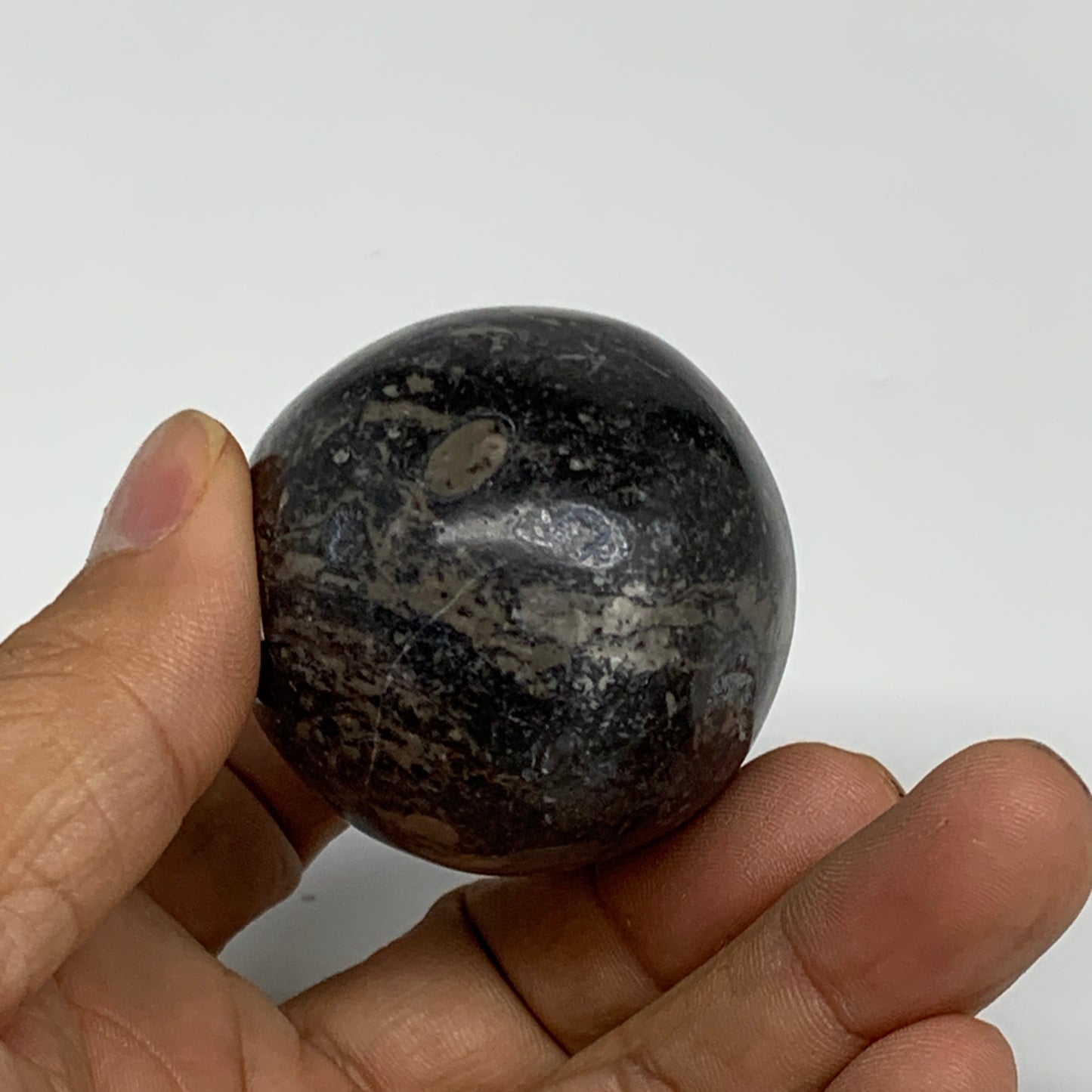 145.8g, 2.1"x1.7", Natural Fossil Orthoceras Stone Egg from Morocco, B31055
