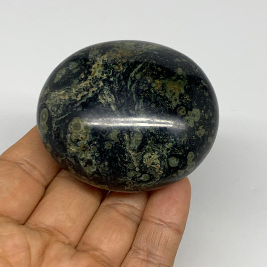 155.9g, 2.4"x2.2"x1.3", Crocodile Kambaba Jasper Palm-Stone @Madagascar, B28050