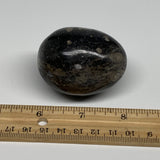 145.8g, 2.1"x1.7", Natural Fossil Orthoceras Stone Egg from Morocco, B31055