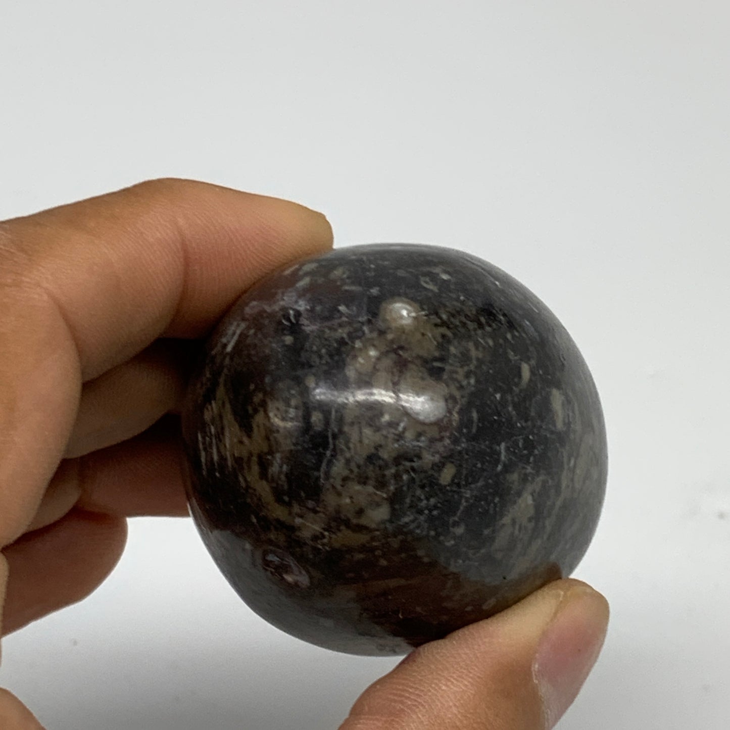 142g, 2.3"x1.6", Natural Fossil Orthoceras Stone Egg from Morocco, B31056