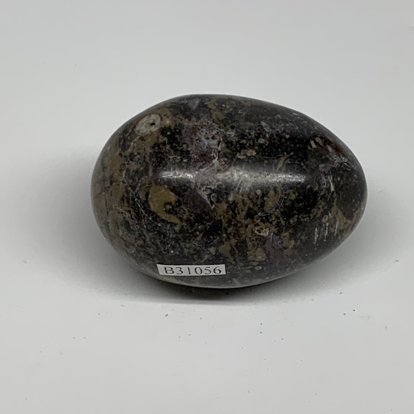 142g, 2.3"x1.6", Natural Fossil Orthoceras Stone Egg from Morocco, B31056