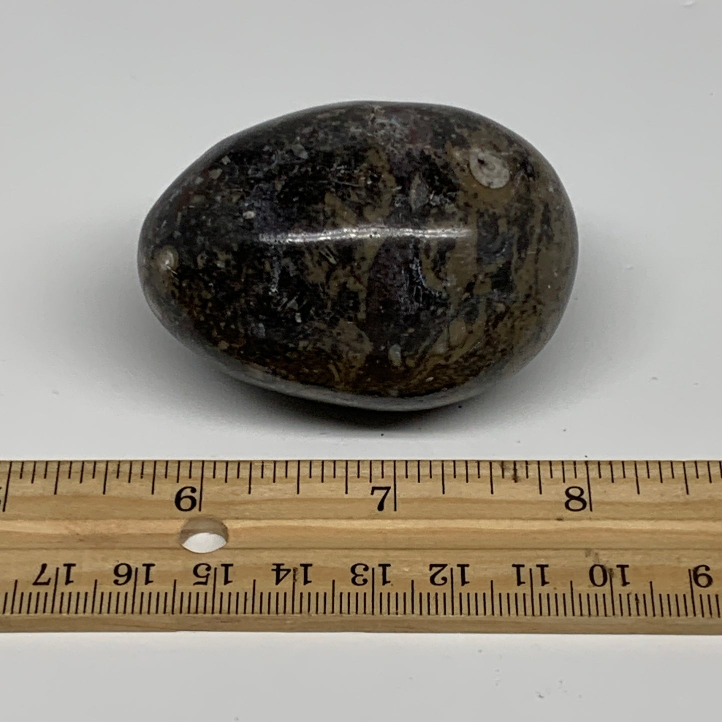 142g, 2.3"x1.6", Natural Fossil Orthoceras Stone Egg from Morocco, B31056
