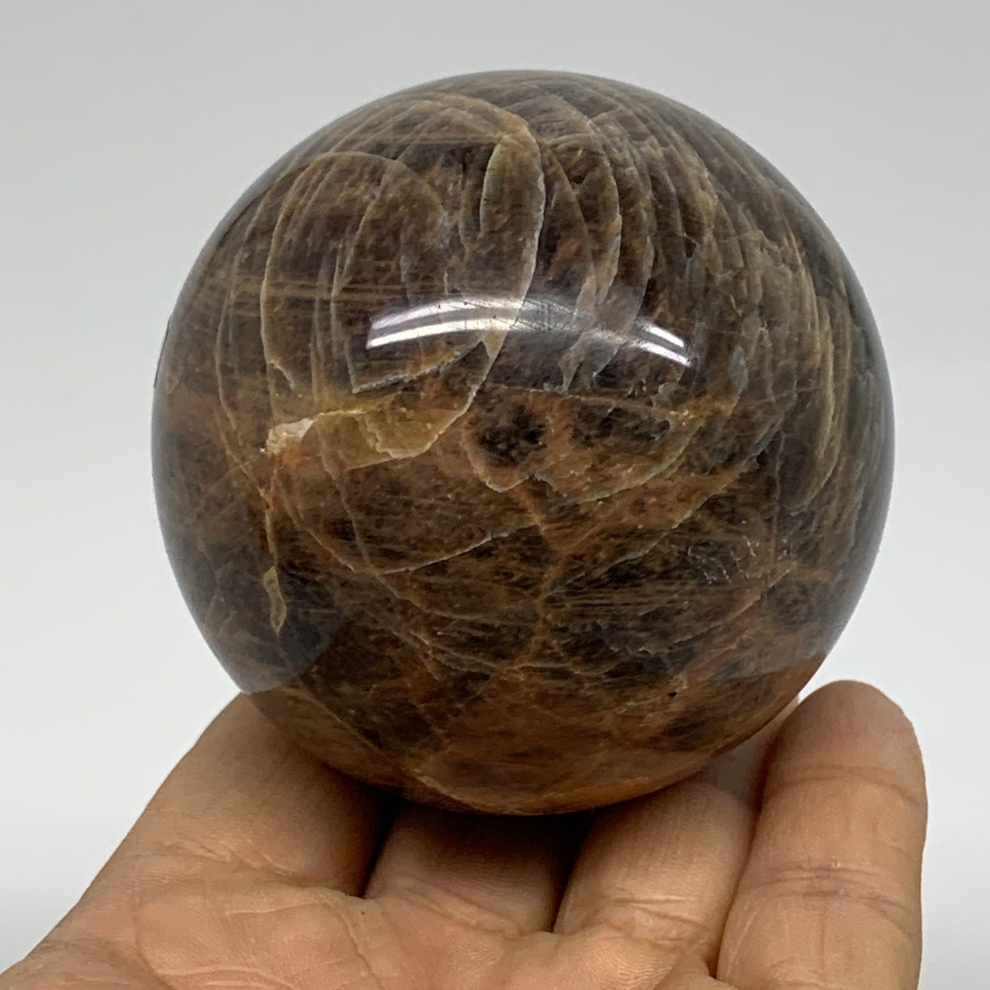 0.83 lbs, 2.6"(65mm), Black Moonstone Sphere Ball Gemstone Polished, B37525