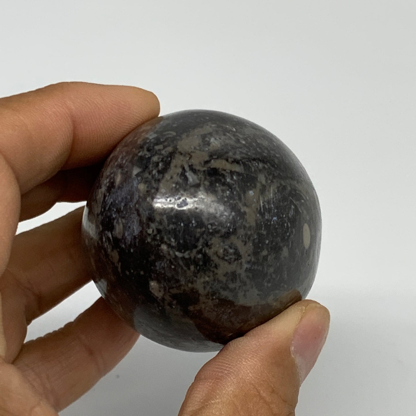 168.2g, 2.4"x1.7", Natural Fossil Orthoceras Stone Egg from Morocco, B31057