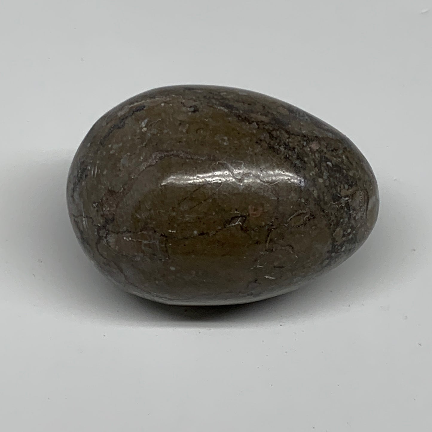 192.5g, 2.5"x1.8", Natural Fossil Orthoceras Stone Egg from Morocco, B31059