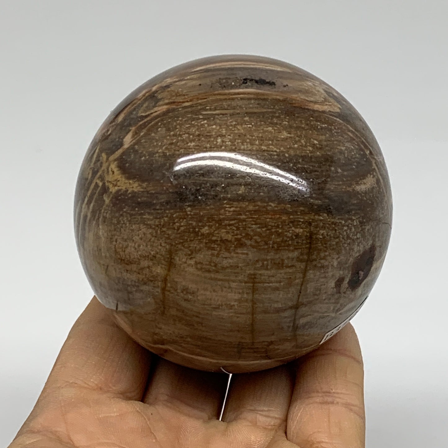 1.02 lbs, 2.7"(69mm), Black Moonstone Sphere Ball Gemstone Polished, B37527