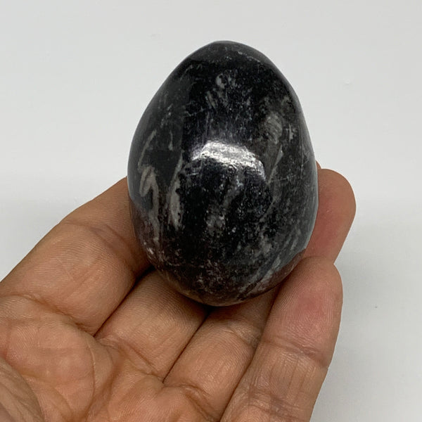 107g, 2"x1.5", Natural Fossil Orthoceras Stone Egg from Morocco, B31060