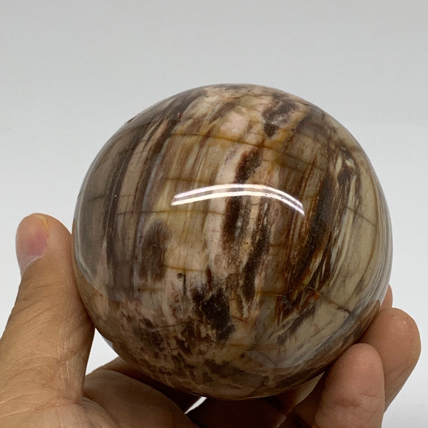 1.02 lbs, 2.7"(69mm), Black Moonstone Sphere Ball Gemstone Polished, B37527