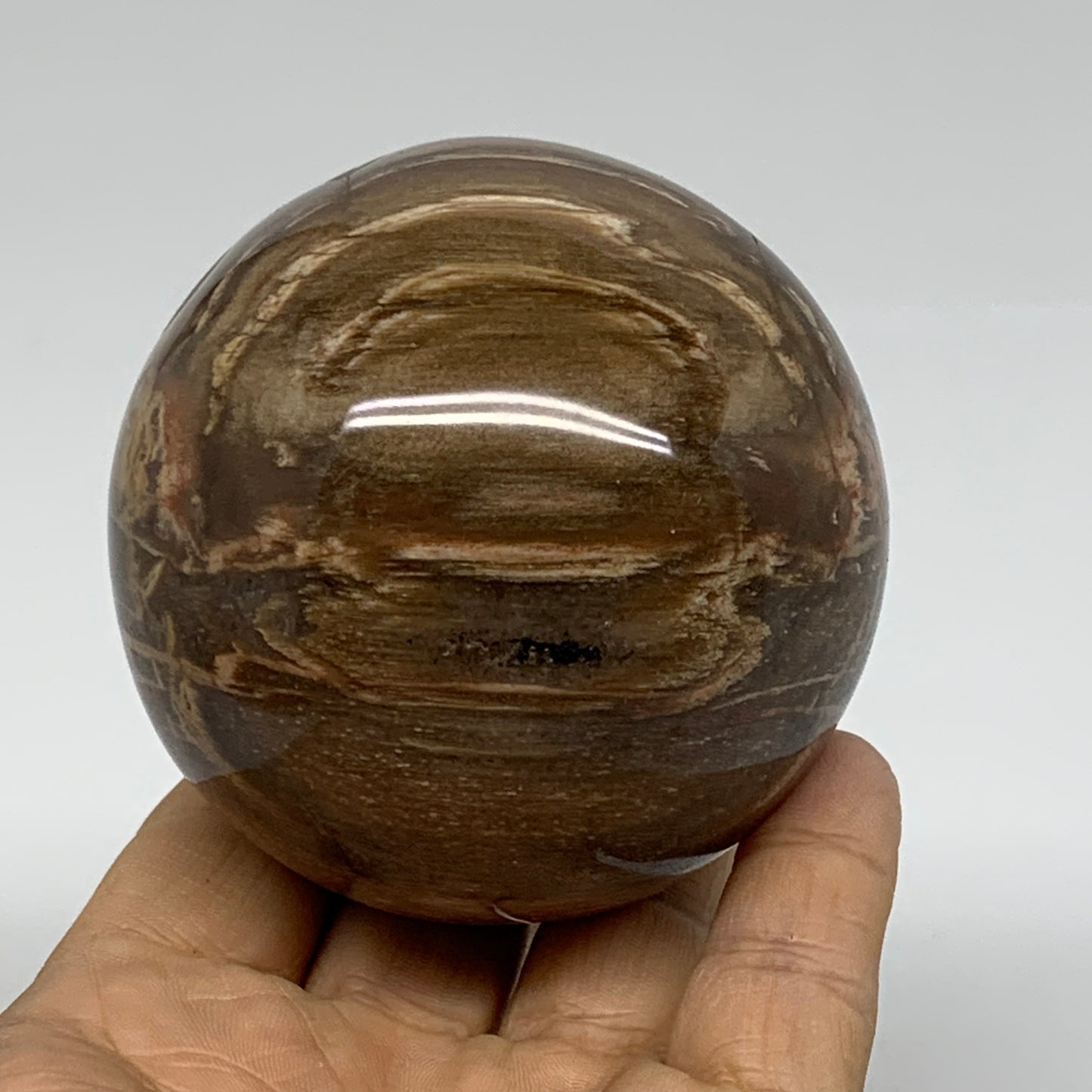 1.02 lbs, 2.7"(69mm), Black Moonstone Sphere Ball Gemstone Polished, B37527