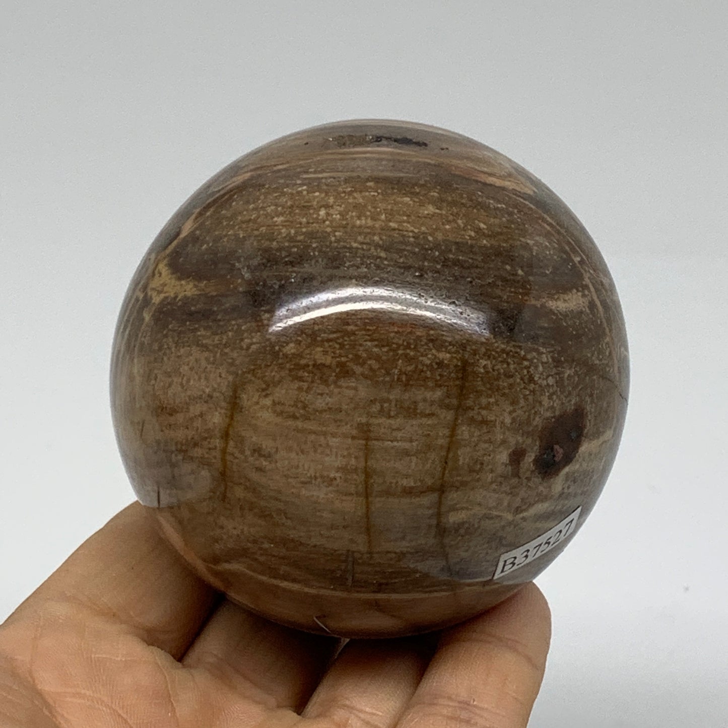 1.02 lbs, 2.7"(69mm), Black Moonstone Sphere Ball Gemstone Polished, B37527